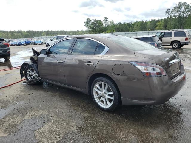  NISSAN MAXIMA 2012 tan