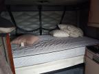 2017 Freightliner Cascadia 125 Semi Truck for Sale in Avon, MN - Front End