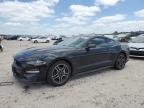 2021 Ford Mustang  for Sale in Houston, TX - Hail