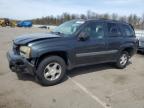 2005 Chevrolet Trailblazer Ls zu verkaufen in Brookhaven, NY - Rear End