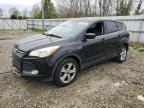 2013 Ford Escape Se for Sale in Windsor, NJ - Rear End