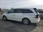 2017 Honda Odyssey Exl for Sale in Eugene, OR - Rear End