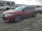 2017 Nissan Maxima 3.5S na sprzedaż w Earlington, KY - Hail