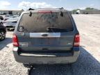 2010 Ford Escape Limited იყიდება Madisonville-ში, TN - Minor Dent/Scratches