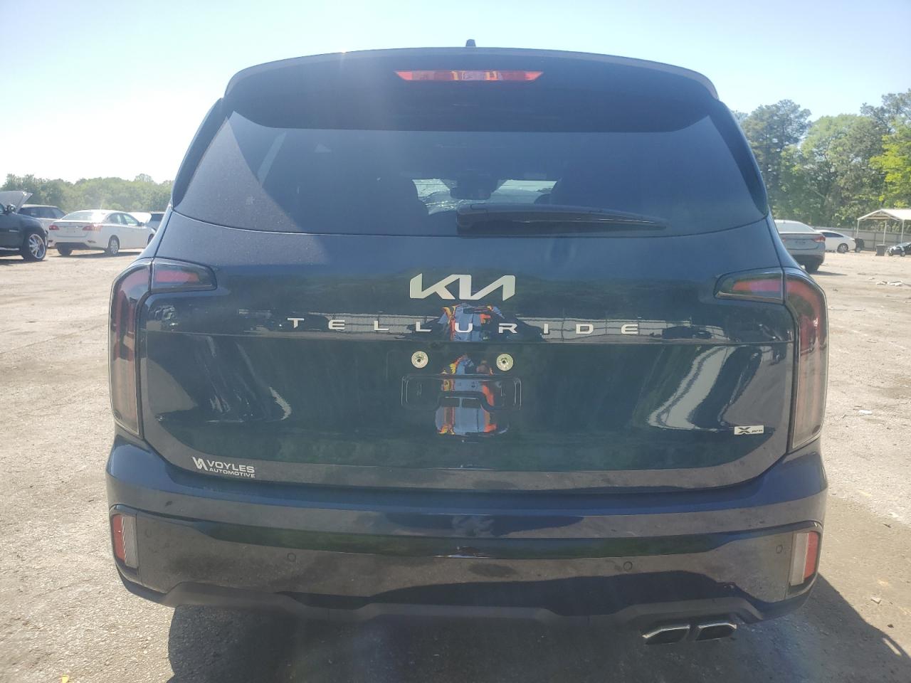 2024 Kia Telluride Sx VIN: 5XYP5DGC1RG439447 Lot: 52987835