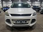 2015 Ford Escape Se for Sale in Ham Lake, MN - Rear End