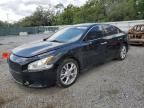 2014 Nissan Maxima S for Sale in Riverview, FL - Side