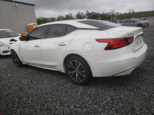 Седаны NISSAN MAXIMA 2017 Белый