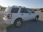 2008 Ford Escape Xlt للبيع في Tifton، GA - Front End
