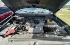 2013 Ford F150 for Sale in Apopka, FL - Rear End