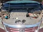 2008 Honda Odyssey Exl na sprzedaż w Haslet, TX - Hail