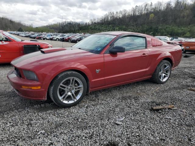 2009 Ford Mustang Gt