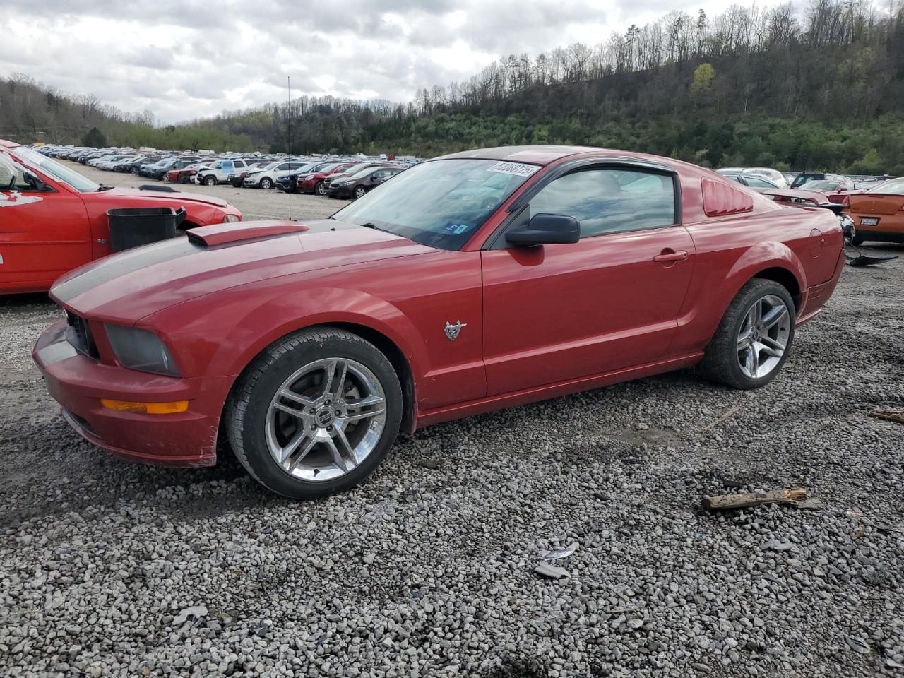 Hurricane, WV에서 판매 중인 2009 Ford Mustang Gt - Rear End