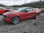 2009 Ford Mustang Gt for Sale in Hurricane, WV - Rear End