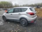 2019 Ford Escape S للبيع في Baltimore، MD - Biohazard/Chemical