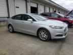 2013 Ford Fusion Se for Sale in Louisville, KY - Hail