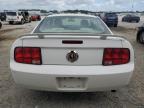 2005 Ford Mustang  for Sale in Jacksonville, FL - Front End