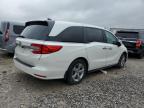 2020 Honda Odyssey Exl იყიდება Madisonville-ში, TN - Water/Flood