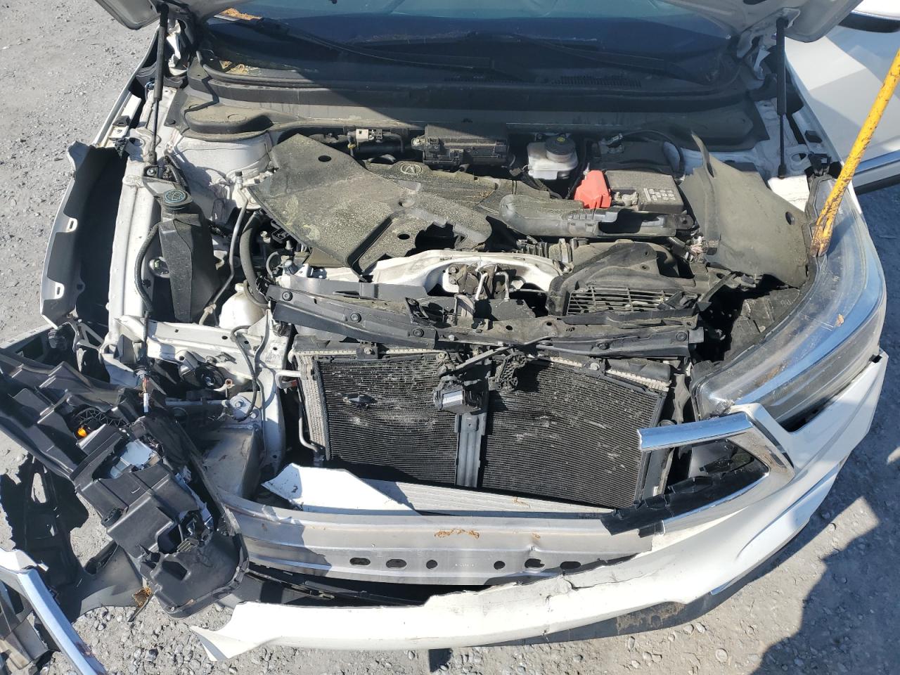 2021 Acura Rdx Technology VIN: 5J8TC1H50ML006283 Lot: 51819465