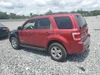 2008 Ford Escape Xlt for Sale in Apopka, FL - Rear End