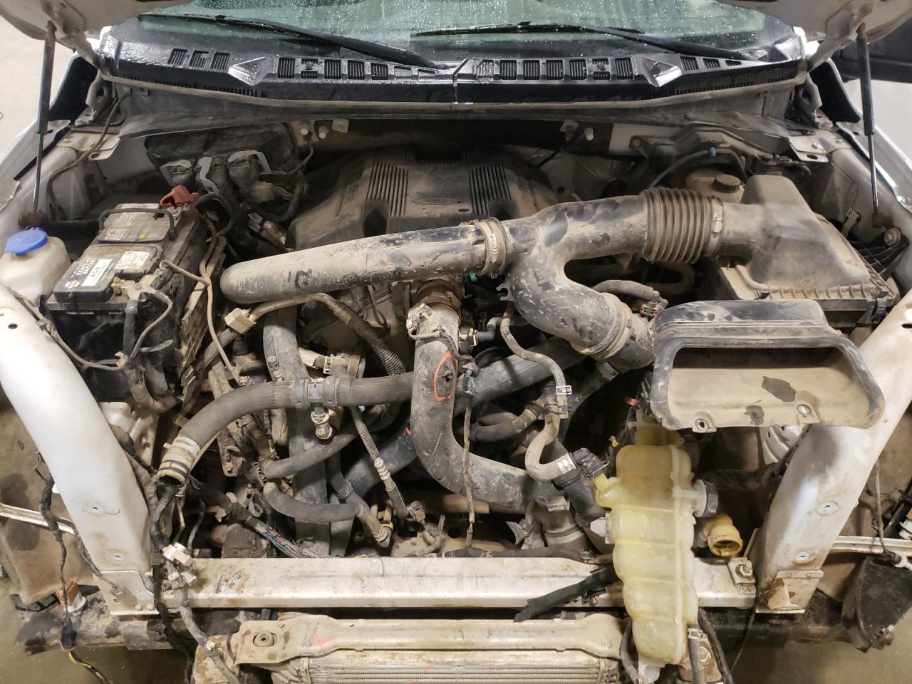 1FTFW1E49LFC33659 FORD F-150 2020