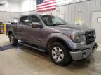 2013 Ford F150 Supercrew for Sale in Casper, WY - Front End