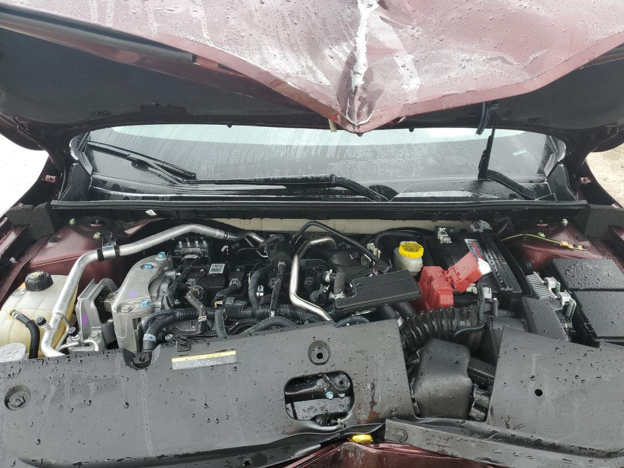 2025 Nissan Sentra Sv VIN: 3N1AB8CV2SY295182 Lot: 54179775