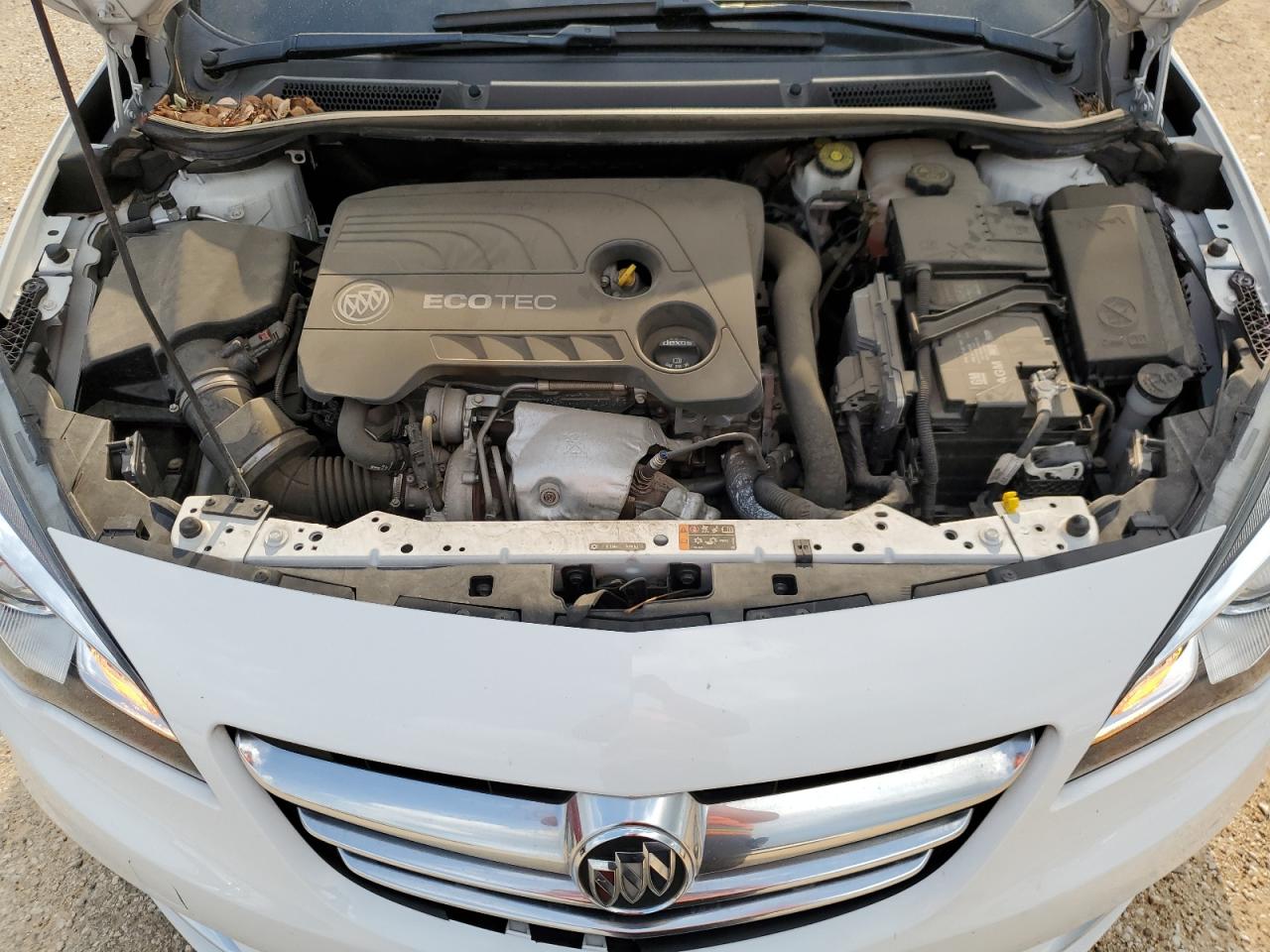 2019 Buick Cascada Premium VIN: W04WH3N58KG344348 Lot: 52809325