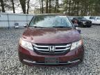 Windsor, NJ에서 판매 중인 2014 Honda Odyssey Lx - All Over