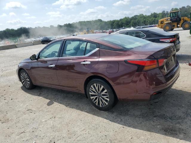  NISSAN ALTIMA 2024 Burgundy