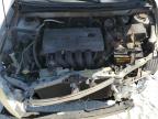 2003 Toyota Corolla Ce на продаже в Fort Pierce, FL - Front End