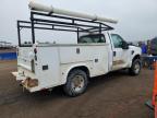 2008 Ford F250 Super Duty იყიდება Brighton-ში, CO - Side