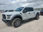 2017 Ford F150 Raptor en Venta en Houston, TX - Minor Dent/Scratches