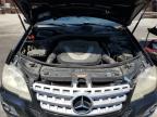2009 Mercedes-Benz Ml 350 للبيع في Wilmington، CA - Rear End