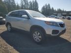 2011 Kia Sorento Base for Sale in Graham, WA - Rear End