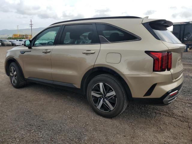  KIA SORENTO 2021 Цвет загара