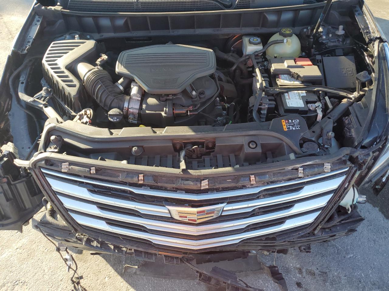 2019 Cadillac Xt5 VIN: 1GYKNARS8KZ218927 Lot: 52902205
