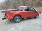 2023 Ford F150 Supercrew for Sale in Marlboro, NY - Front End