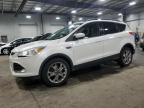 2015 Ford Escape Se for Sale in Ham Lake, MN - Rear End