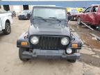 2002 Jeep Wrangler / Tj Sahara იყიდება Woodhaven-ში, MI - Minor Dent/Scratches