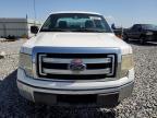 2013 Ford F150  for Sale in Arcadia, FL - Rear End