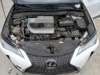 2019 Lexus Ux 200 de vânzare în Jacksonville, FL - Side