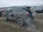 2019 Toyota Rav4 Le zu verkaufen in Helena, MT - Rear End