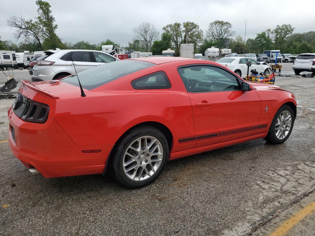 2013 Ford Mustang VIN: 1ZVBP8AM1D5223156 Lot: 54687355