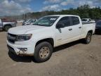 2018 Chevrolet Colorado  en Venta en Greenwell Springs, LA - Water/Flood