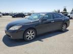 2008 Lexus Es 350 for Sale in Rancho Cucamonga, CA - Rear End