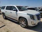 2019 Cadillac Escalade Esv Luxury للبيع في San Antonio، TX - Rear End