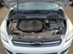 Brighton, CO에서 판매 중인 2013 Ford Escape Se - Rear End