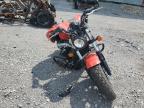 2024 INDIAN MOTORCYCLE CO. SCOUT BOBBER ABS   for sale at Copart TN - NASHVILLE
