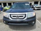 2009 Honda Pilot Exl zu verkaufen in Louisville, KY - Hail